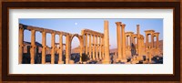 Ruins, Palmyra, Syria Fine Art Print
