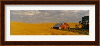 Barn in a wheat field, Palouse, Washington State, USA Fine Art Print