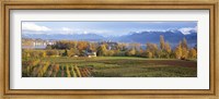 Farm, Rapperswil, Zurich, Switzerland Fine Art Print