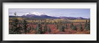 Canada, Yukon Territory, View of pines trees in a valley Fine Art Print