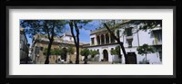 Trees in front of buildings, Convento San Leandro, Plaza Pilatos, Seville, Spain Fine Art Print