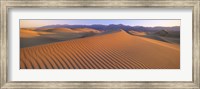 Sand Dunes in Death Valley National Park, California Fine Art Print