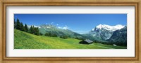 Grindelwald Switzerland Fine Art Print