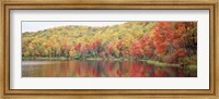 Savoy Mountain State Forest, Massachusetts, USA Fine Art Print