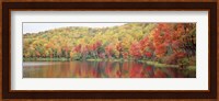 Savoy Mountain State Forest, Massachusetts, USA Fine Art Print