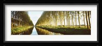 Belgium, tree lined waterway through countryside Fine Art Print