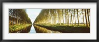 Belgium, tree lined waterway through countryside Fine Art Print