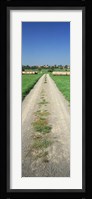 Germany, Hay bales along a road Fine Art Print
