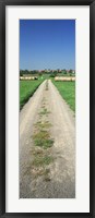 Germany, Hay bales along a road Fine Art Print
