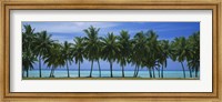 Palms & lagoon Aitutaki Cook Islands Fine Art Print