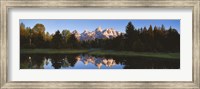 Beaver Pond Grand Teton National Park WY Fine Art Print