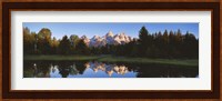 Beaver Pond Grand Teton National Park WY Fine Art Print