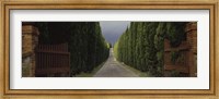 Road, Tuscany, Italy, Fine Art Print