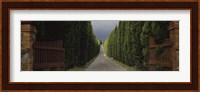 Road, Tuscany, Italy, Fine Art Print