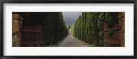 Road, Tuscany, Italy, Fine Art Print