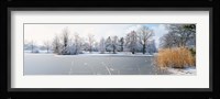 Snow covered trees near a lake, Lake Schubelweiher Kusnacht, Zurich, Switzerland Fine Art Print