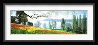 Lake Constance, Insel Mainau, Germany Fine Art Print
