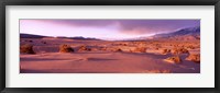 Olancha Sand Dunes, Olancha, California, USA Fine Art Print