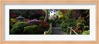 Japanese Tea Garden, San Francisco, California, USA Fine Art Print