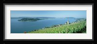 Vineyard near a village, Lake Biel, Ligerz, Canton of Bern, Switzerland Fine Art Print