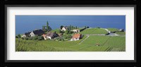 Aerial View Of Vineyards By A Lake, Lake Geneva, Vaud, Switzerland Fine Art Print
