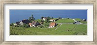 Aerial View Of Vineyards By A Lake, Lake Geneva, Vaud, Switzerland Fine Art Print