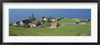 Aerial View Of Vineyards By A Lake, Lake Geneva, Vaud, Switzerland Fine Art Print