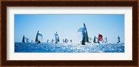 Sailboat Race, Key West Florida, USA Fine Art Print