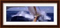 Yacht Race, Caribbean Fine Art Print