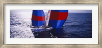 High angle view of a yacht in the sea, Caribbean Fine Art Print