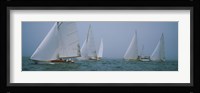 Sailboats at regatta, Newport, Rhode Island, USA Fine Art Print