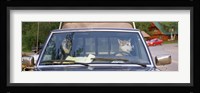 Close-up of two dogs in a pick-up truck, Main Street, Talkeetna, Alaska, USA Fine Art Print