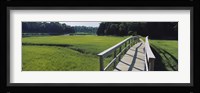 Boardwalk in a field, Nauset Marsh, Cape Cod, Massachusetts, USA Fine Art Print
