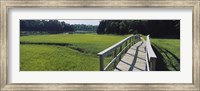 Boardwalk in a field, Nauset Marsh, Cape Cod, Massachusetts, USA Fine Art Print