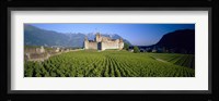 Vineyard in front of a castle, Aigle Castle, Musee de la Vigne et du Vin, Aigle, Vaud, Switzerland Fine Art Print