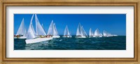 Sailboats racing in the ocean, Key West, Florida Fine Art Print