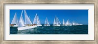 Sailboats racing in the ocean, Key West, Florida Fine Art Print