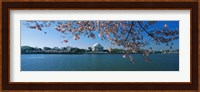 Monument at the waterfront, Jefferson Memorial, Potomac River, Washington DC, USA Fine Art Print