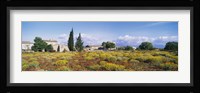 Buildings in a field, Majorca, Spain Fine Art Print