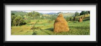 Farm, Transylvania, Romania Fine Art Print