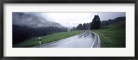 Wet highway passing through a forest, Austria Fine Art Print