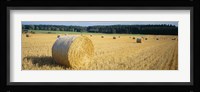 Bales of Hay Southern Germany Fine Art Print