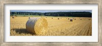 Bales of Hay Southern Germany Fine Art Print