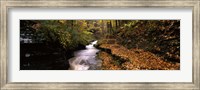 Buttermilk Creek, Ithaca, New York State, USA Fine Art Print