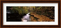 Buttermilk Creek, Ithaca, New York State, USA Fine Art Print