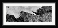 Birds Nesting In Cliffs, Norway Fine Art Print