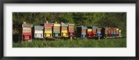 Row of beehives, Switzerland Fine Art Print