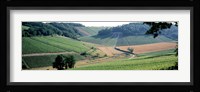 France, Chablis, vineyards Fine Art Print
