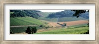 France, Chablis, vineyards Fine Art Print