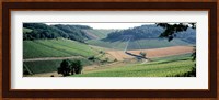 France, Chablis, vineyards Fine Art Print